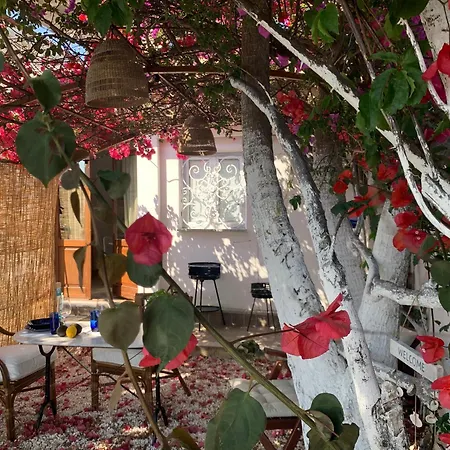 公寓 Teodora E Teodorina Bohemien House 圣特奥多罗