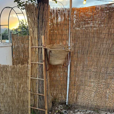 Teodora E Teodorina Bohemien House * Сан-Теодоро