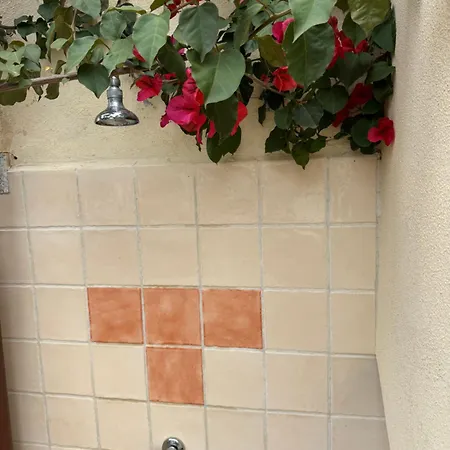 Teodora E Teodorina Bohemien House Апартаменты