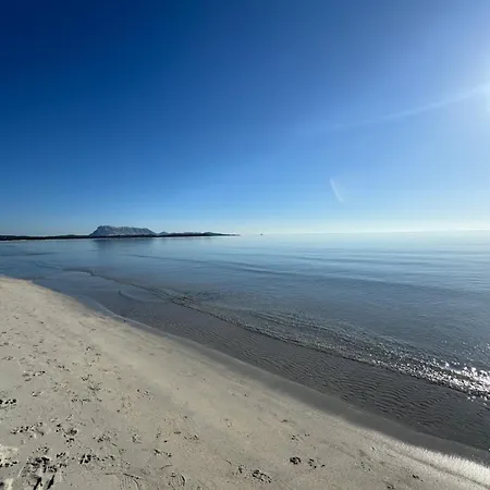 Teodora E Teodorina Bohemien House דירה