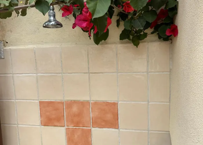 Teodora E Teodorina Bohemien House 公寓