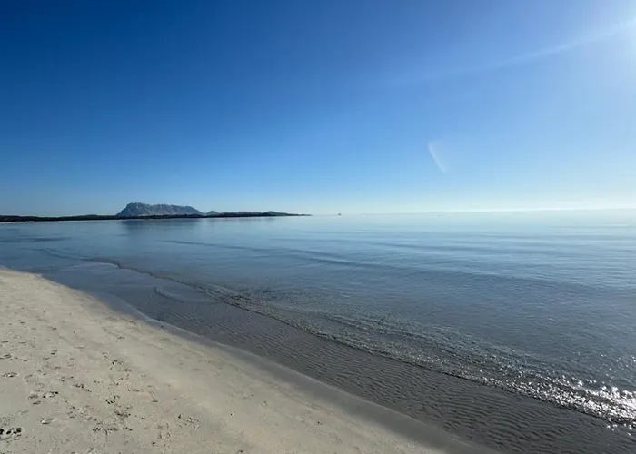 Teodora E Teodorina Bohemien House Appartement